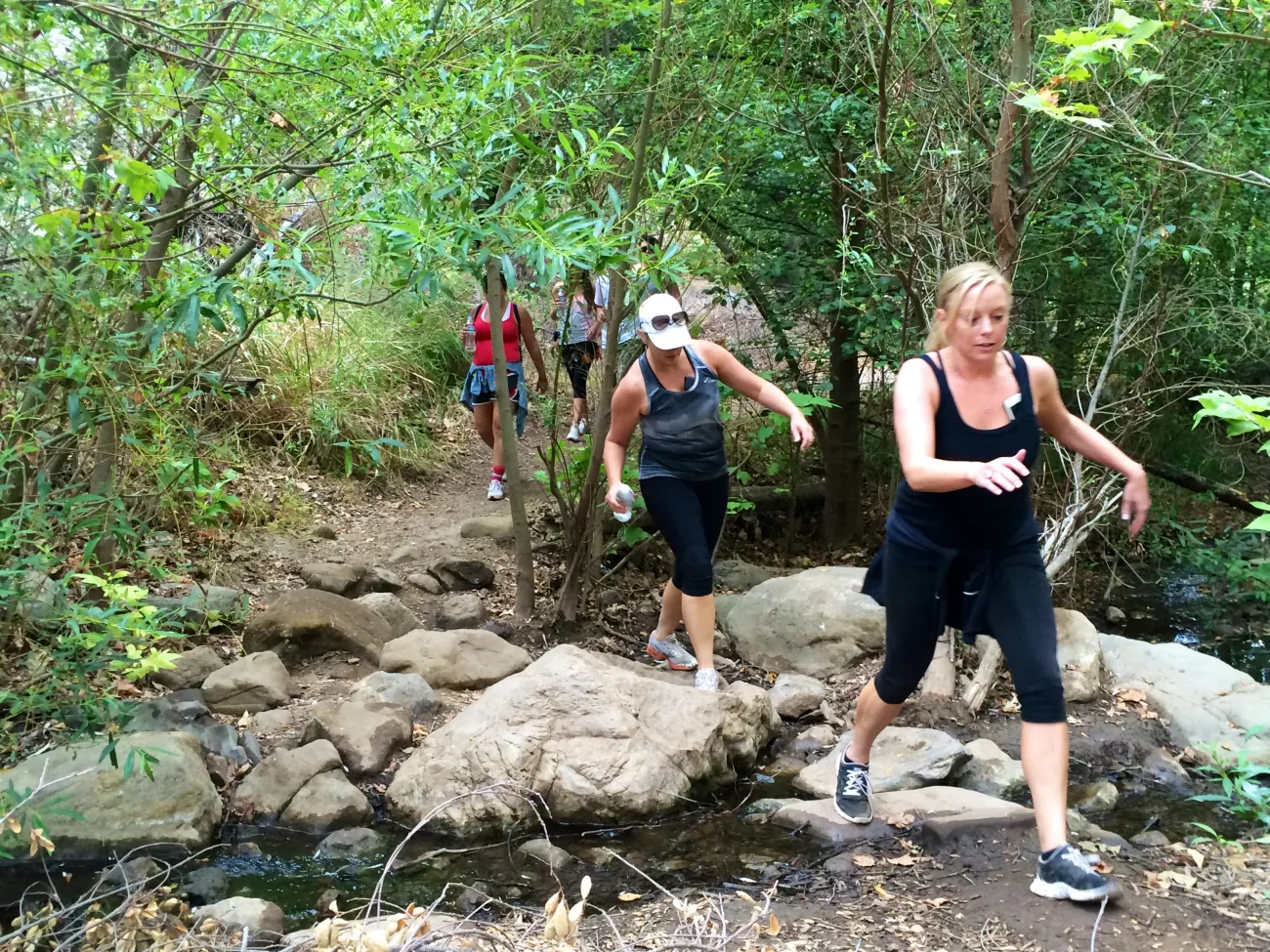 Sturtevant Falls Hike Tour