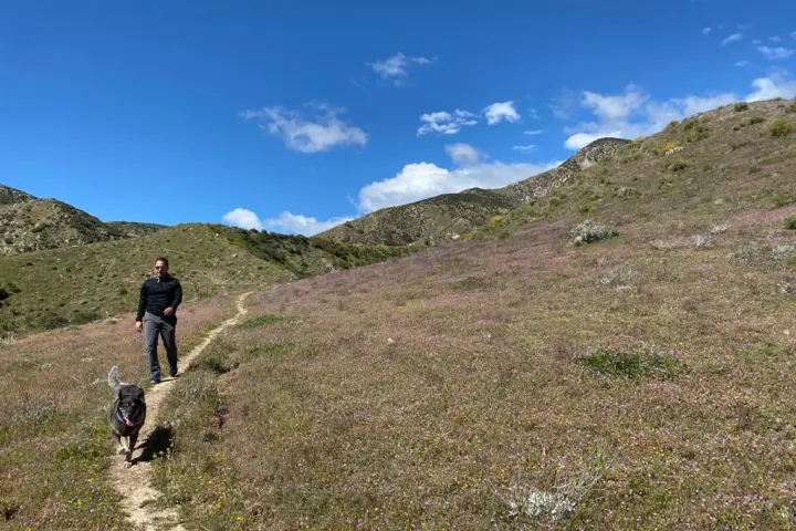 A man walks on a hiking tour with Bikes and Hikes LA in