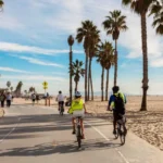 Biking Tour or Rental vs. Bus Tour Comparison