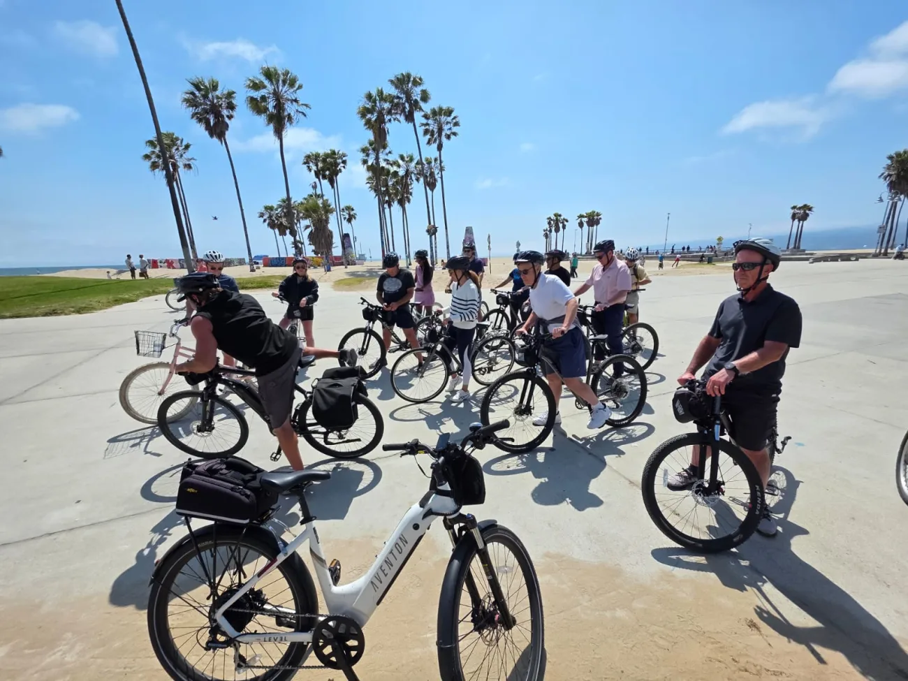 LA in a Day Tour - Bikes and Hikes LA