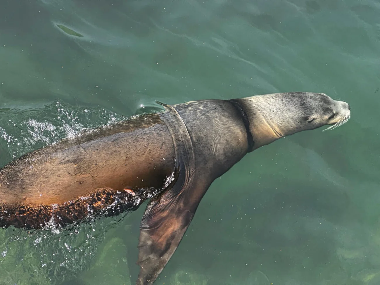 LA in a Day Tour - Bikes and Hikes LA