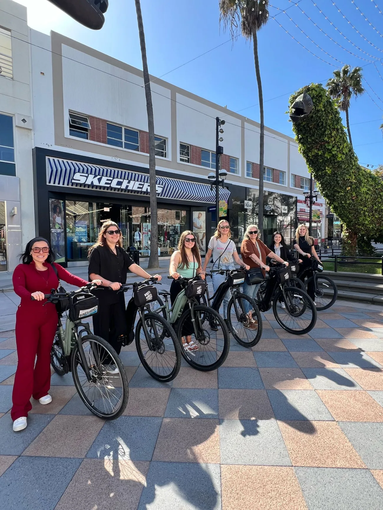 LA in a Day Tour - Bikes and Hikes LA