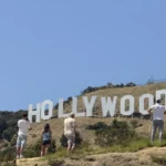 A Whale of a Time – Best Whale Watching Tours at Bikes and Hikes LA