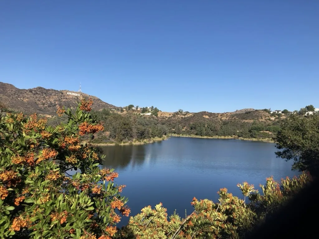 Hollywood Walking Tour