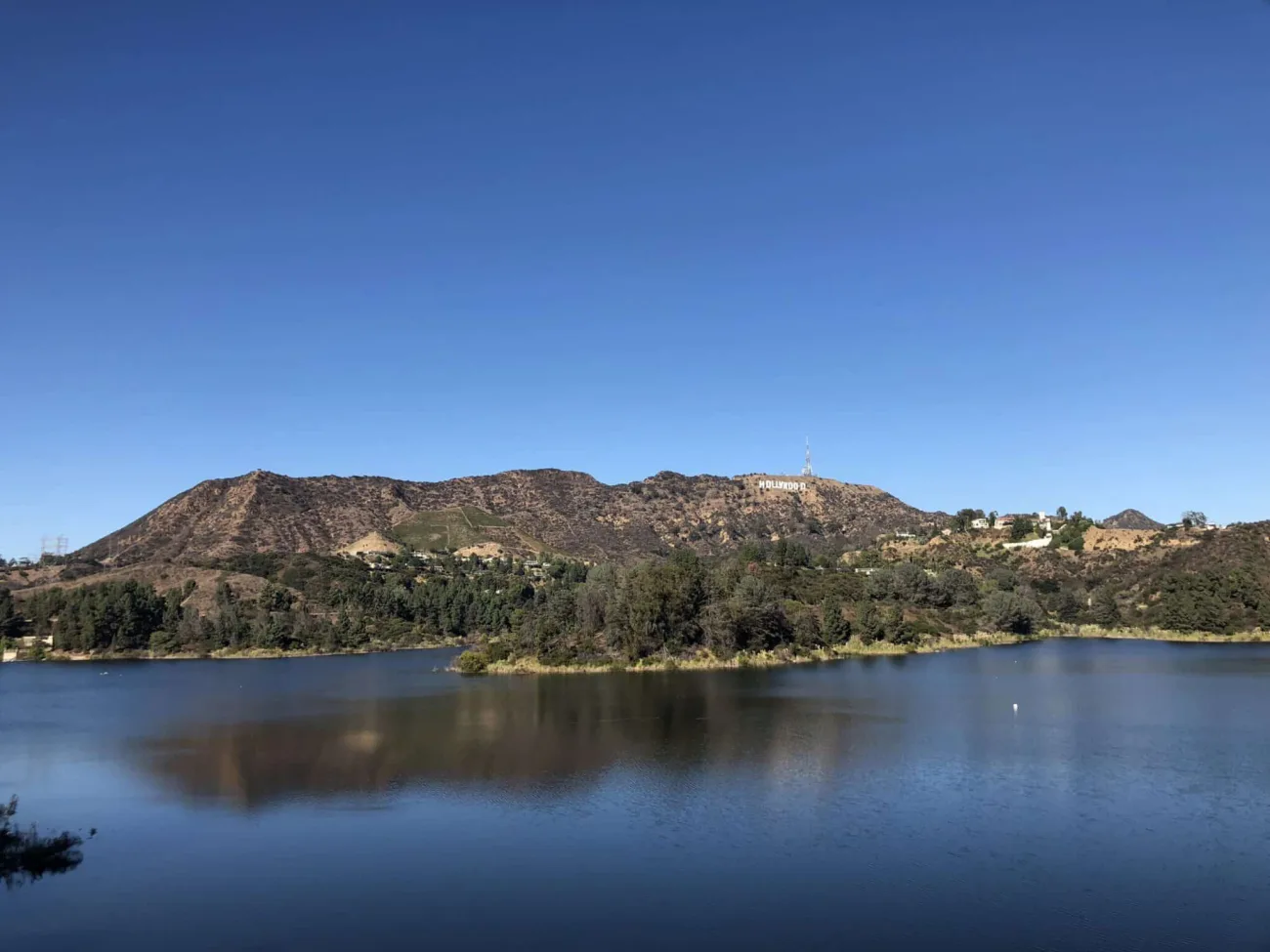 Hollywood Sign Tour in Los Angeles - Bikes and Hikes LA