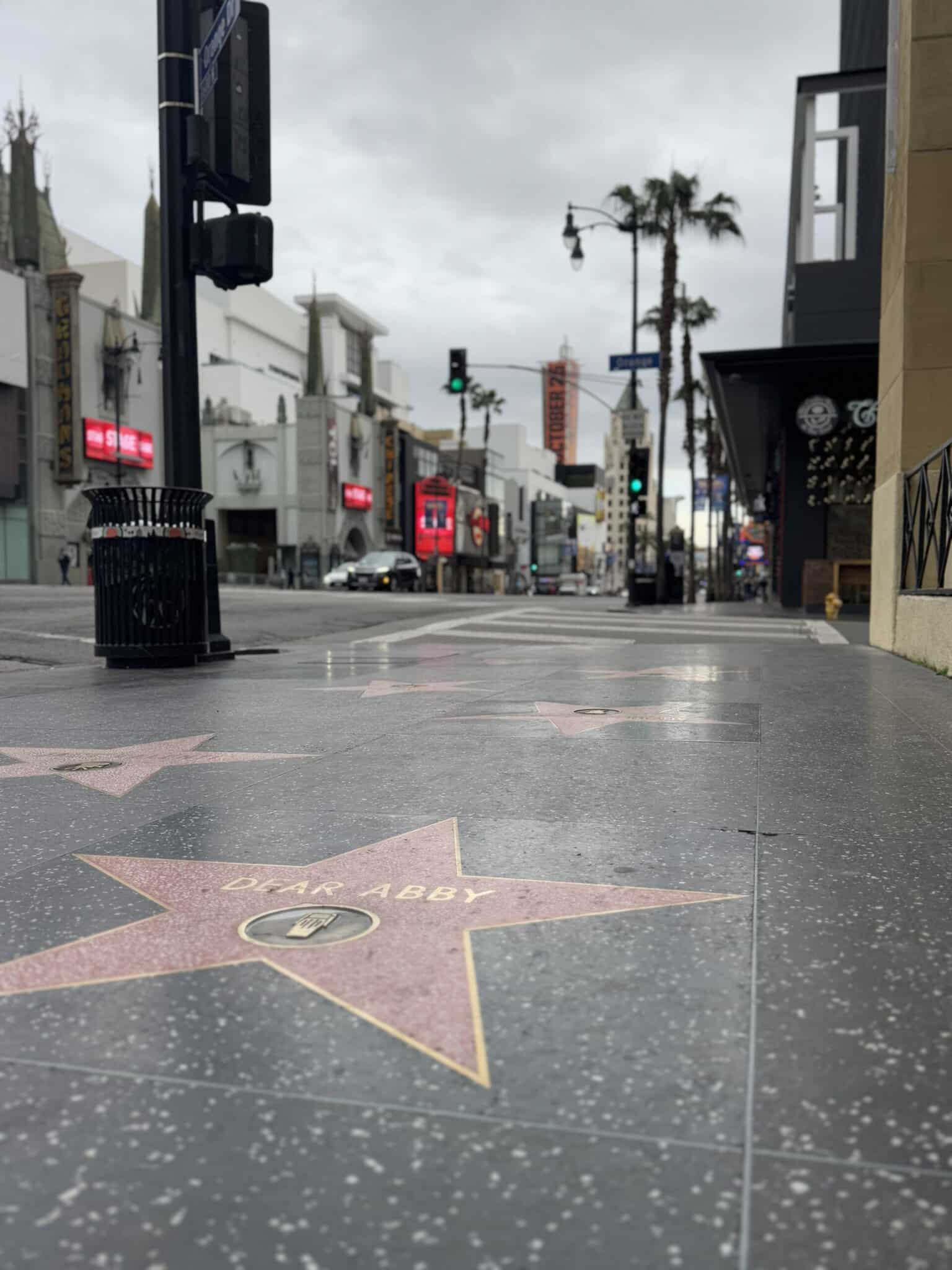 The walk of fame on Hollywood Boulevard on our Hollywood Sign Bike Tour