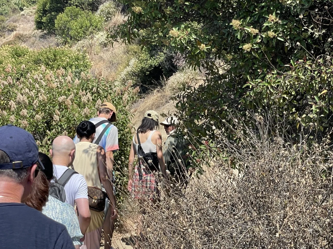 Griffith Observatory in Los Angeles - Bikes and Hikes LA