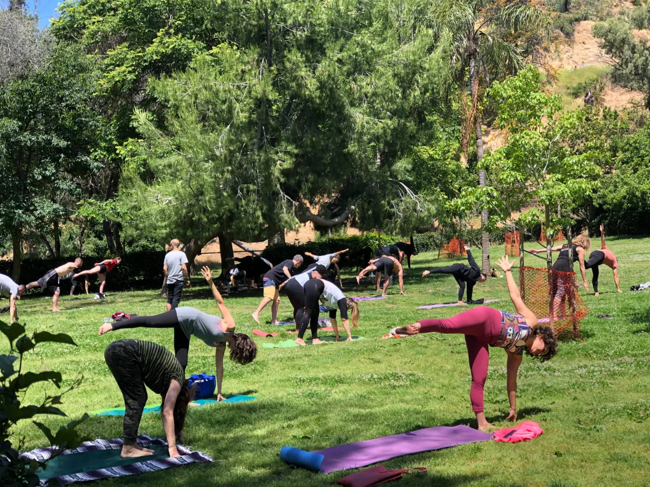 Zen Fusion in Los Angeles - Bikes and Hikes LA