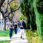 Joshua Tree is for Lovers: What to do in Joshua Tree