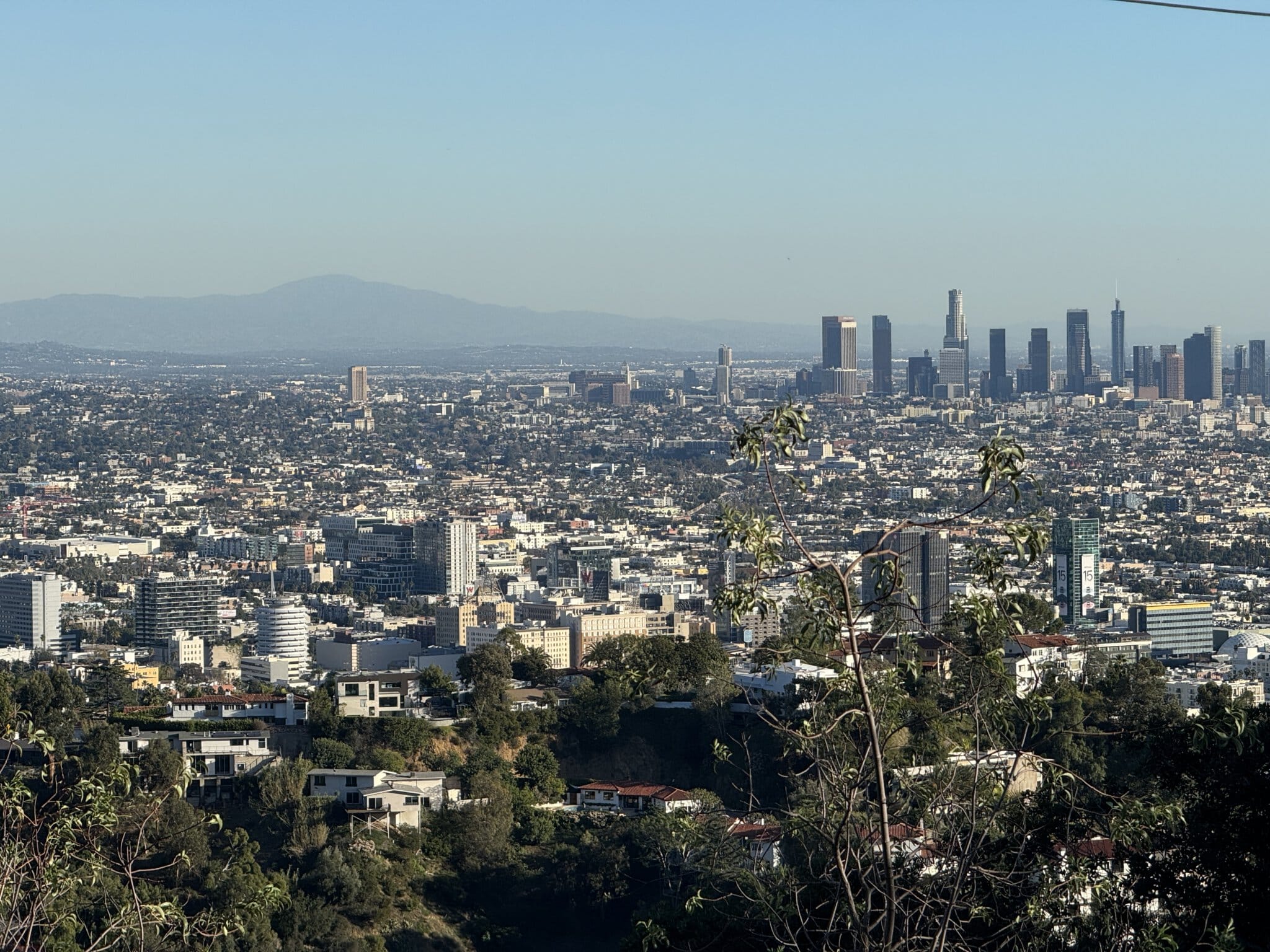 Views of Downtown Los Angeles from Runyon canyon