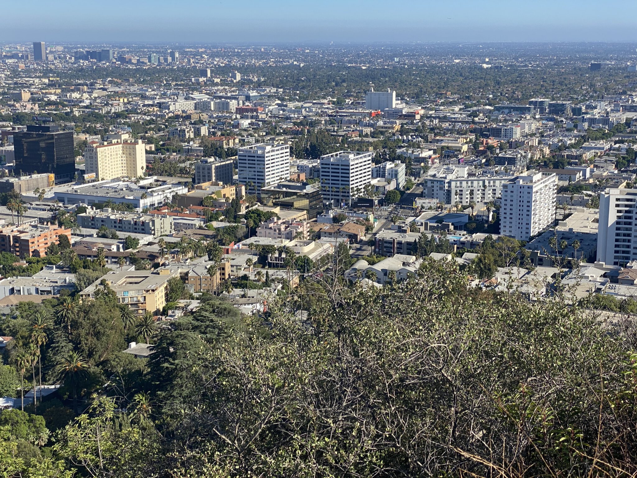 Views of Los Angeles from Runyon Canyon