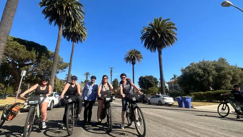 Guests on a palm lined street in Santa Monica
