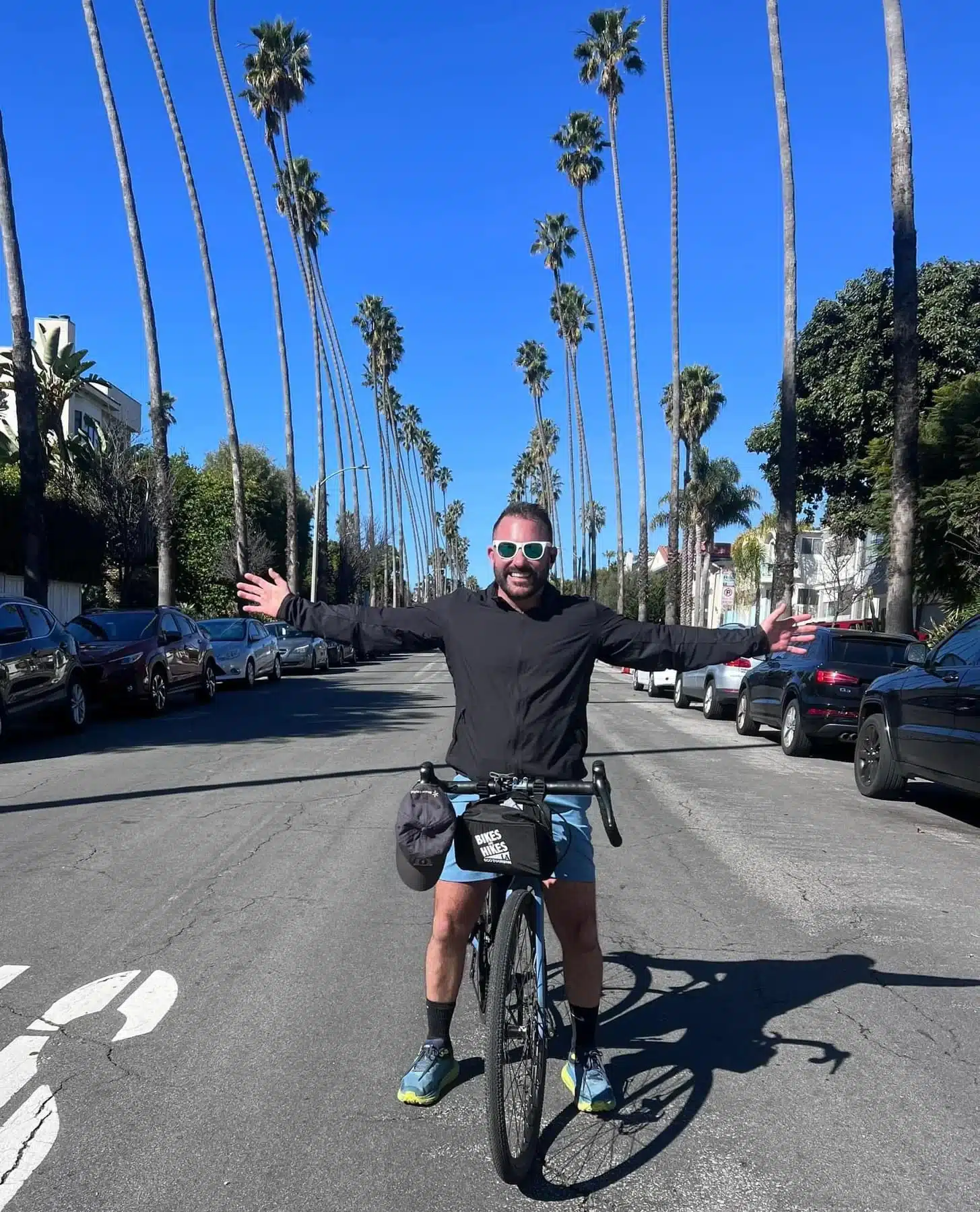 Underneath a palm lined street on the Santa Monica & Venice Beach Bike Tour
