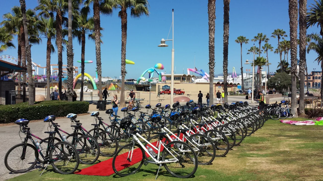 Santa Monica & Venice Beach Tour in Los Angeles - Bikes and Hikes LA