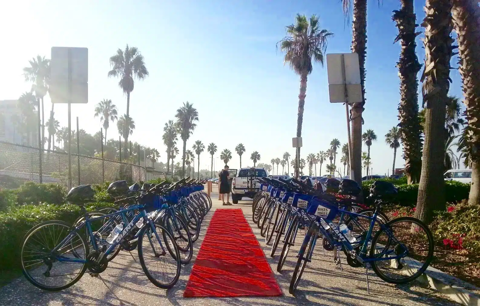 bikes staged for a corporate group in Santa Monica