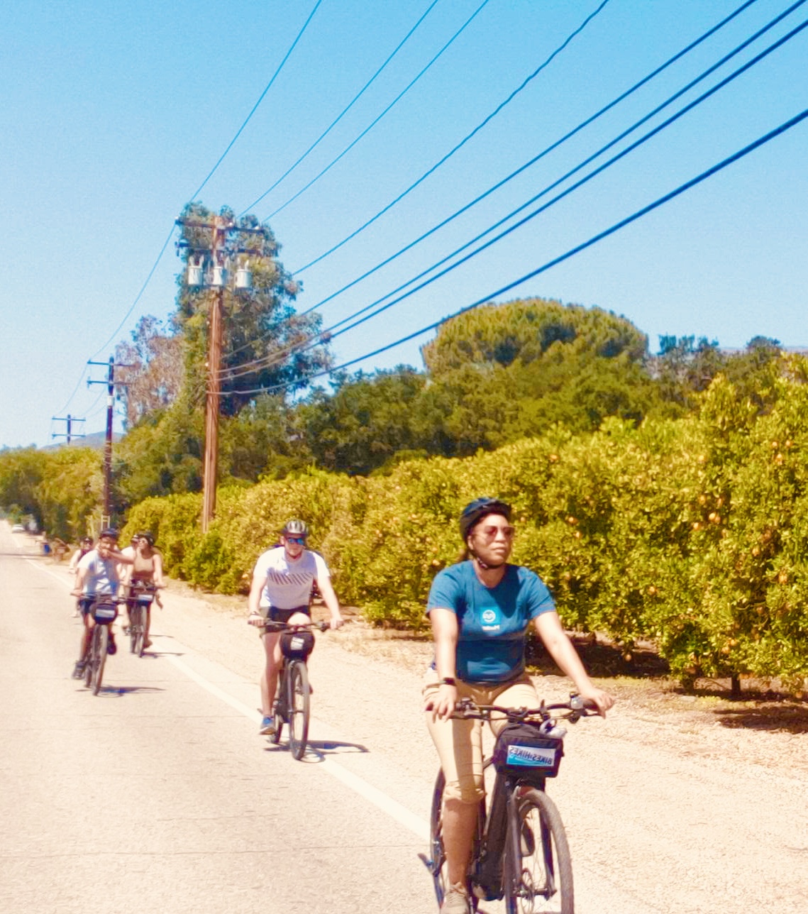 Guests riding by the orchards in Ojai on the Ojai bike tour