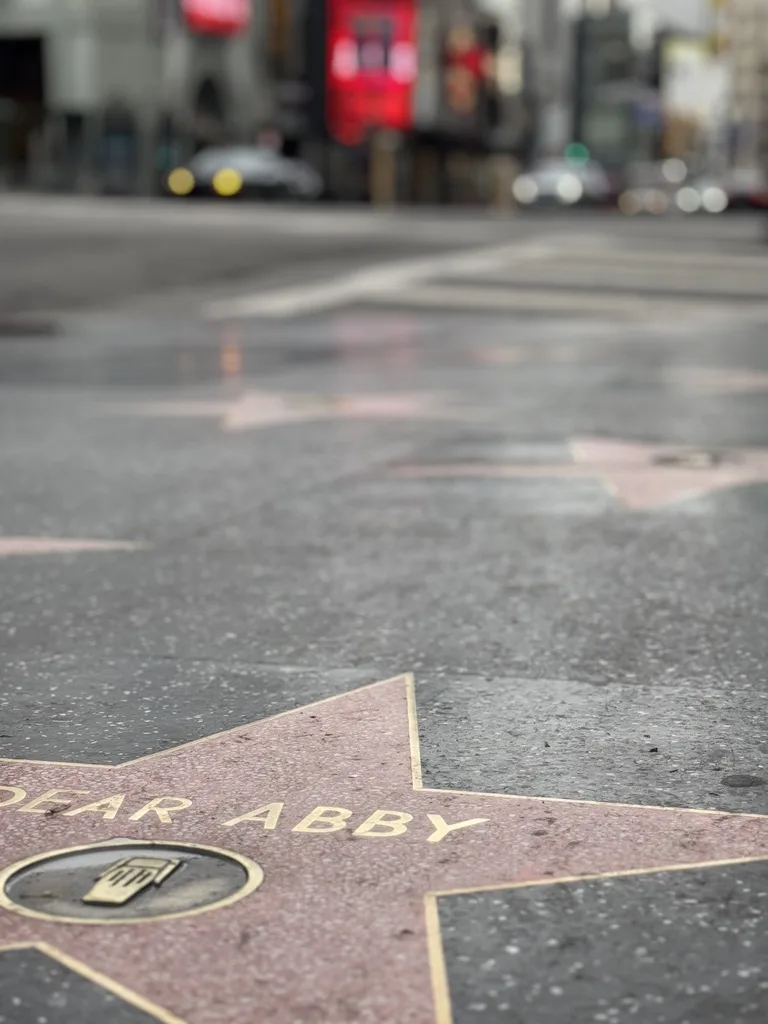 Hollywood Walk of Fame Tour in Los Angeles - Bikes and Hikes LA