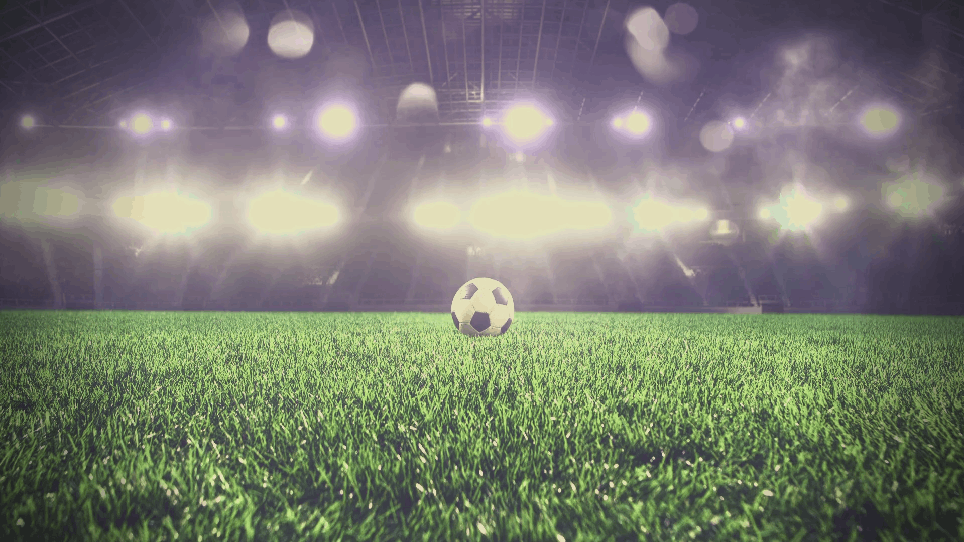 FIFA World Cup 26™
in Los Angeles!