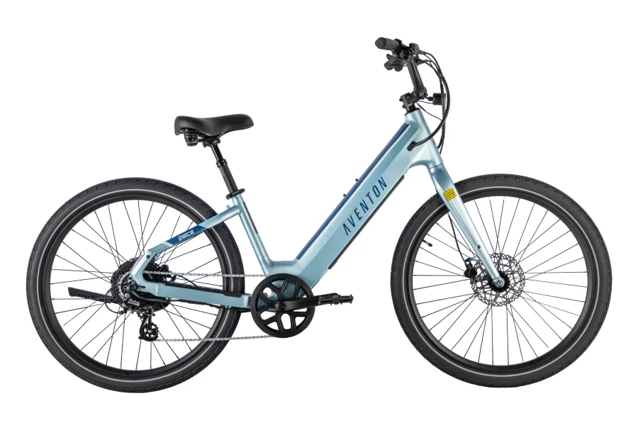 Electric Bike bike for rent