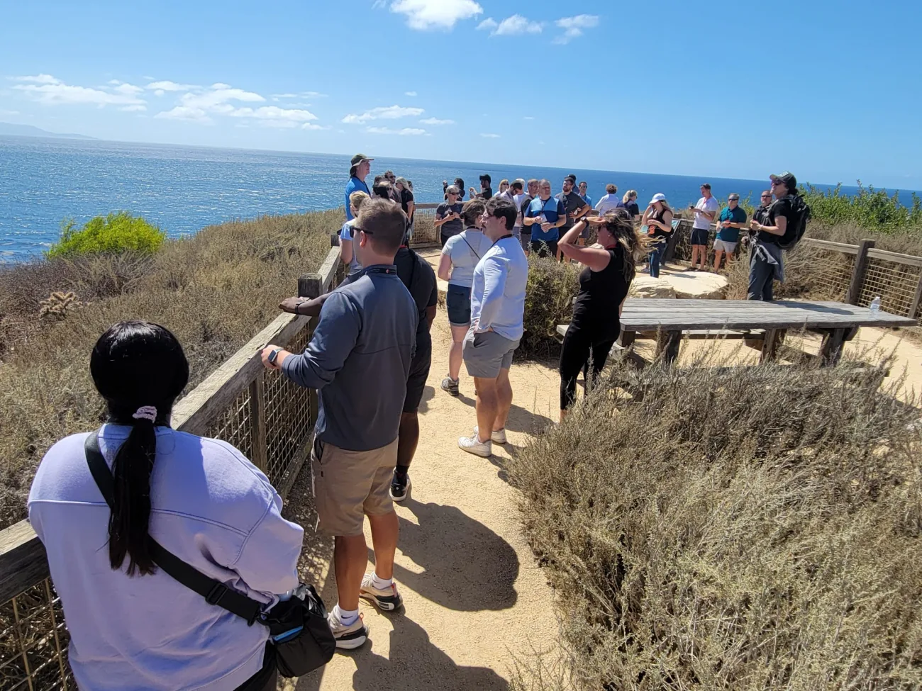 Corporate group gathered at a scenic ocean overlook during a guided nature walk in Palos Verdes near Terranea Resort