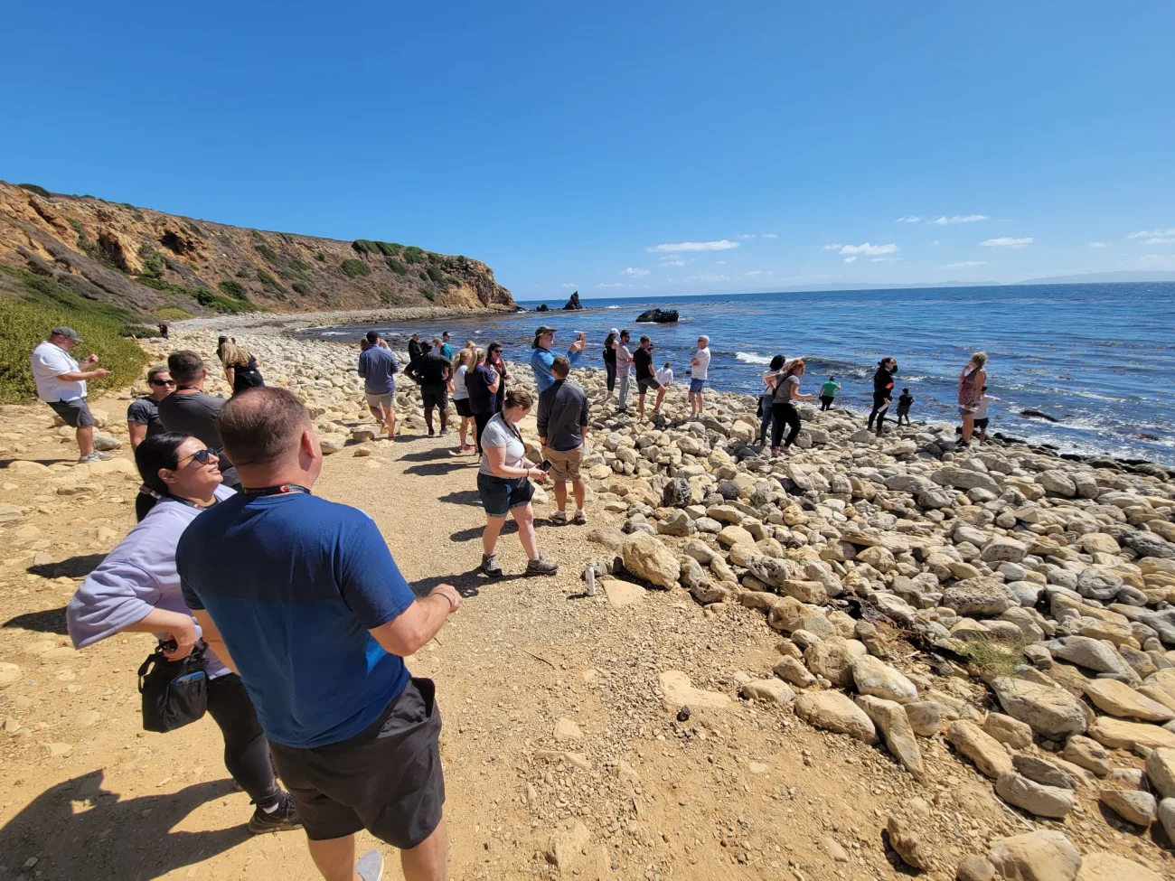Group exploring rocky shoreline and tide pools during a guided nature walk in Palos Verdes along the California coast