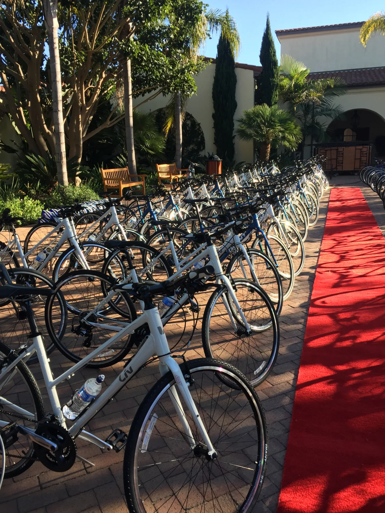 Fleet of bikes set up for a corporate group bike tour at Terranea Resort in Rancho Palos Verdes