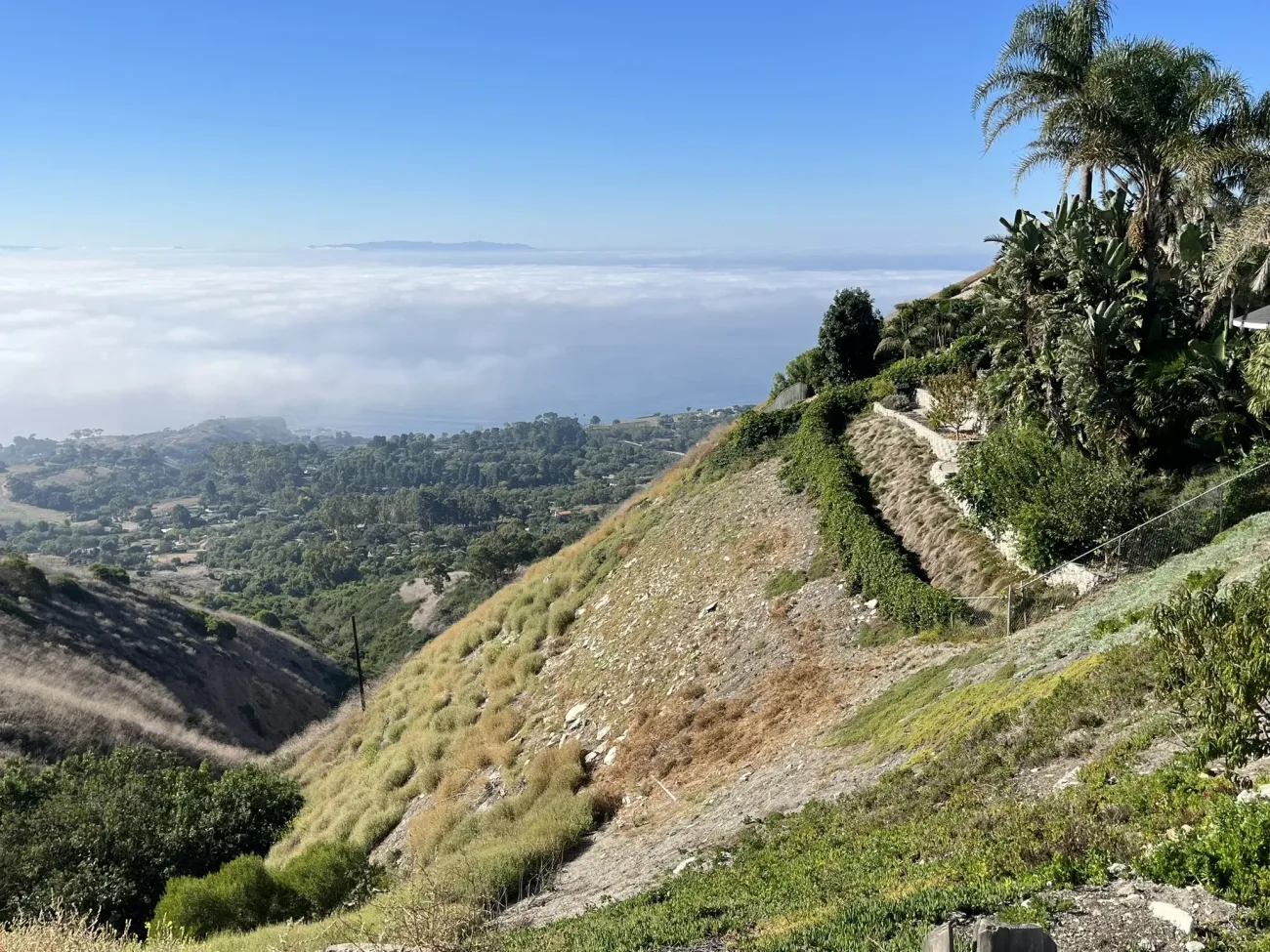 Views of canyons and lush greenery on the Terranea Mountain Biking tour