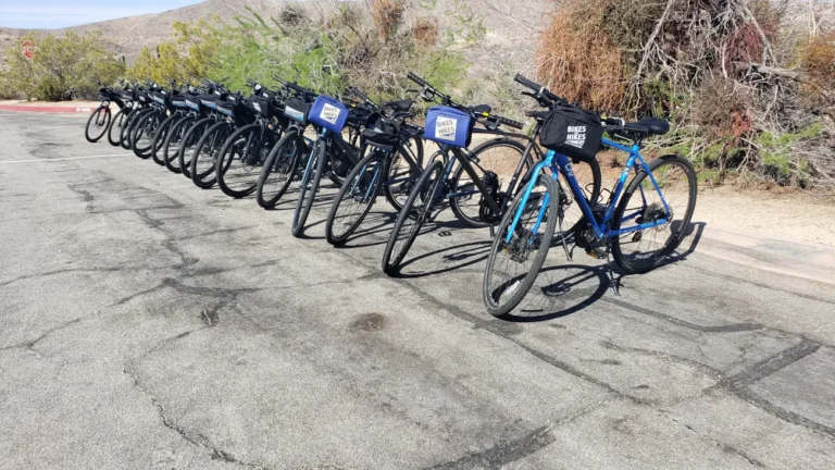 Bikes staged for the Joshua Tree Bike Tour on a desert road