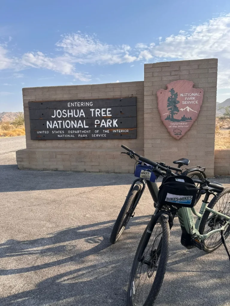 7-12-24 - Joshua Tree - Welch 16