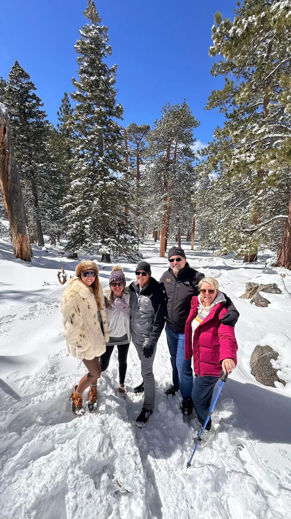 guests smile in the snow with pine trees on the top of Mt. Jacinto