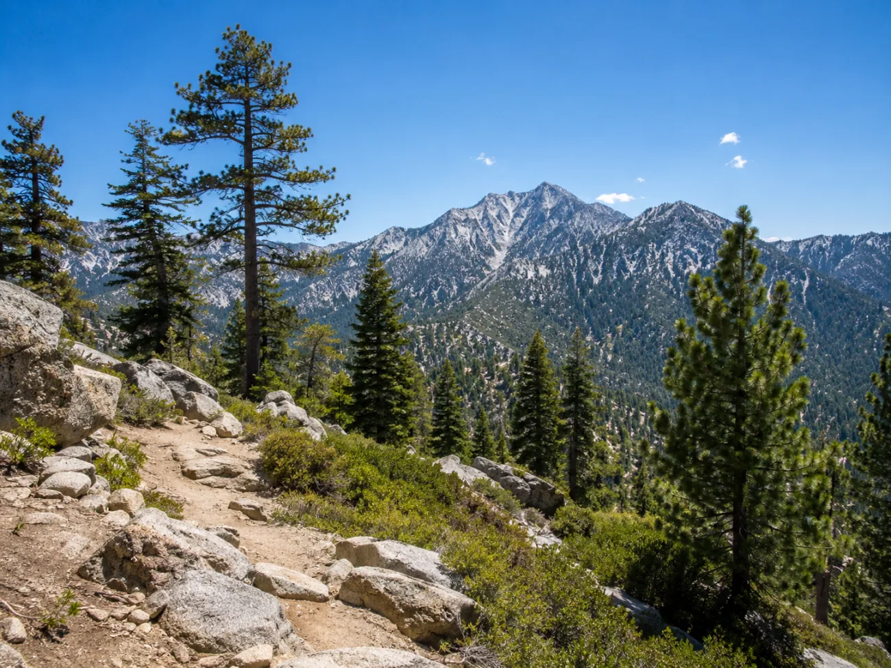 Mt. Jacinto State Park