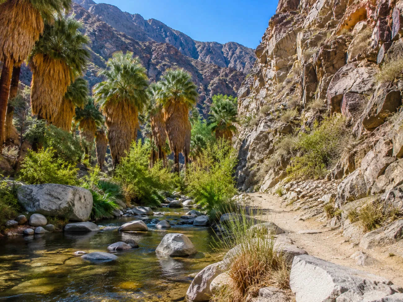 California Andreas Canyon