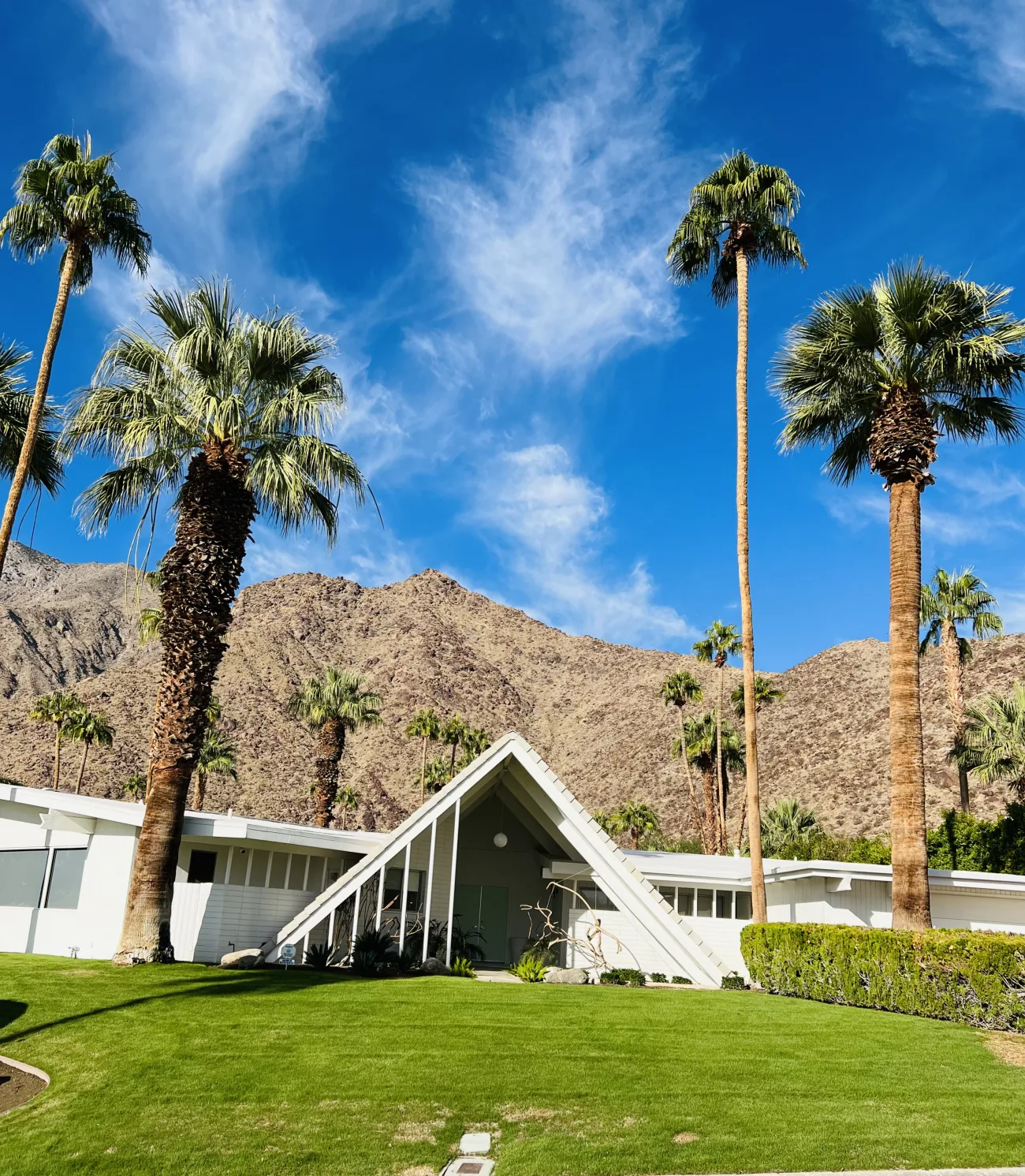 A mid century modern home in Palm Springs