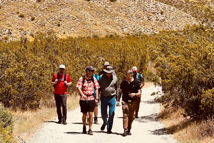 Guests walk down a desert path on the Joshua Tree hiking tour