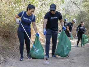 employees working side by side