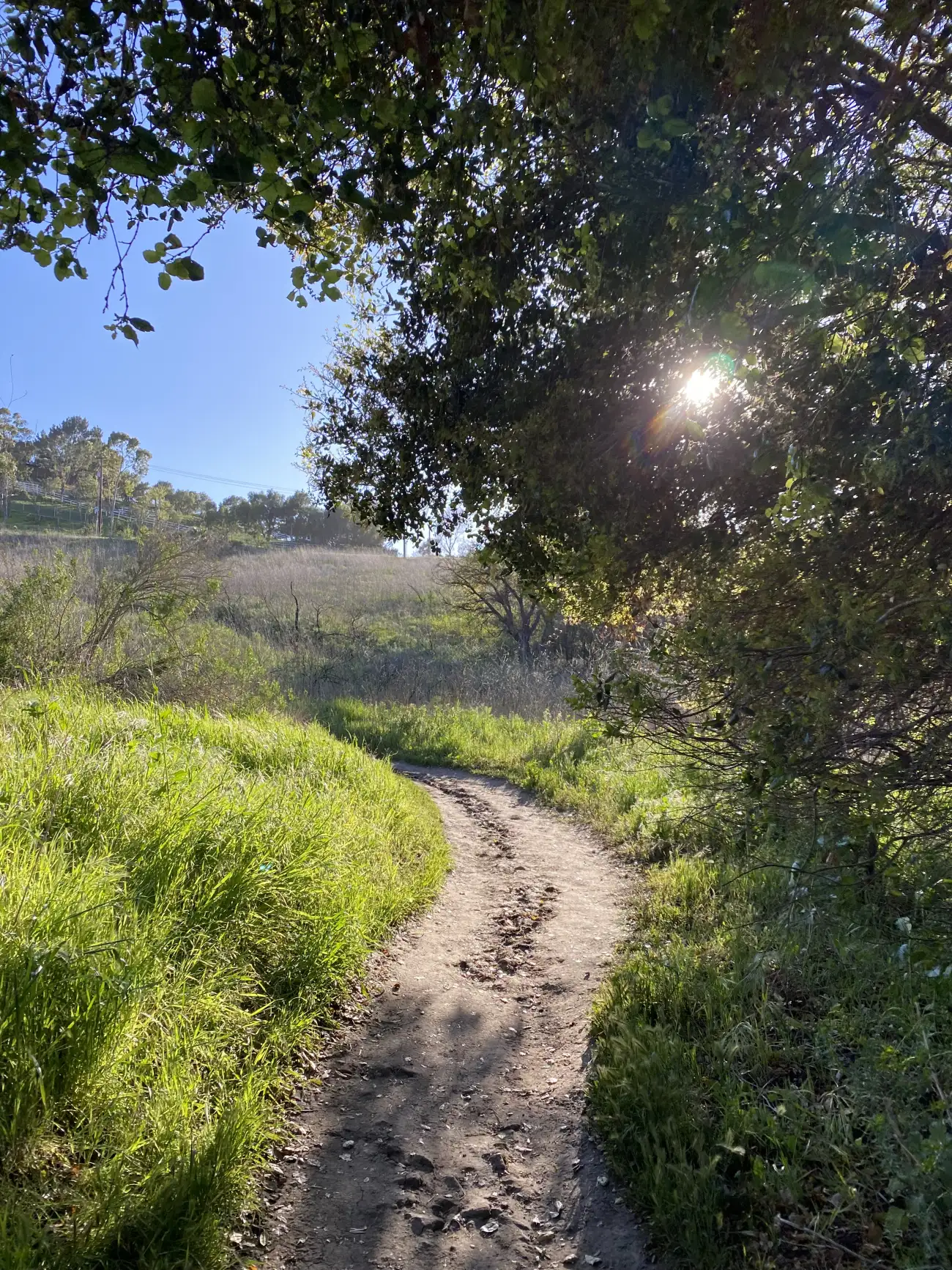 Pretty views on the Solstice Canyon Hike