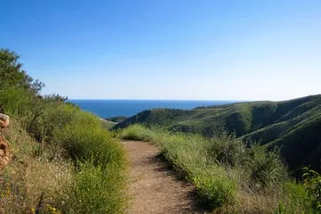 Beautiful views on the Solstice Canyon Hike