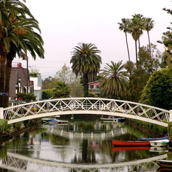 a bridge over a body of water surrounded by palm trees