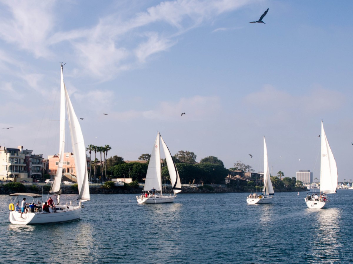 sailboats LA