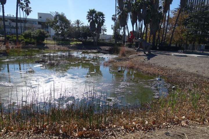 La Brea tar pits