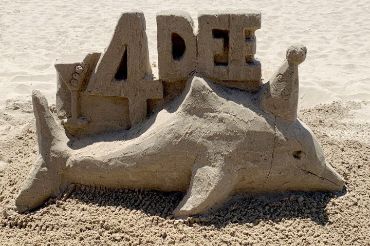 Dolphin Sandcastle