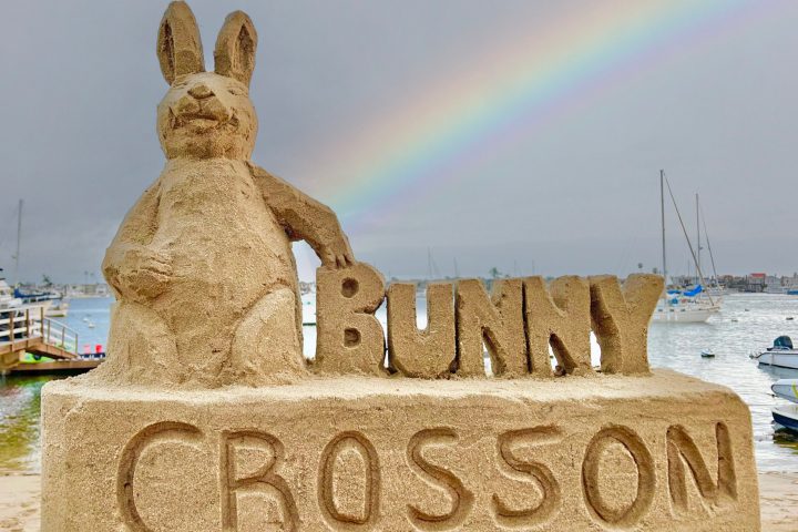 bunny sandcastle