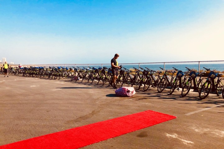 Santa Monica and Venice Beach Private Bike Tour