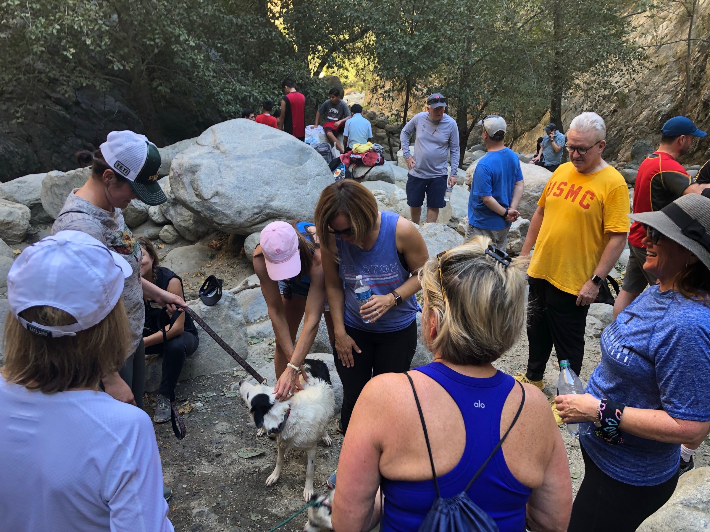 group hike tour pasadena dog