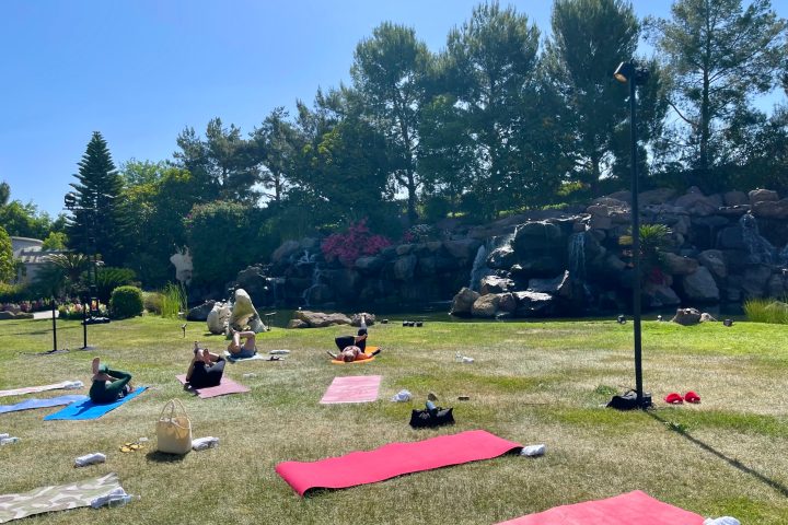 a group of yoga mats on a field on a group yoga experience