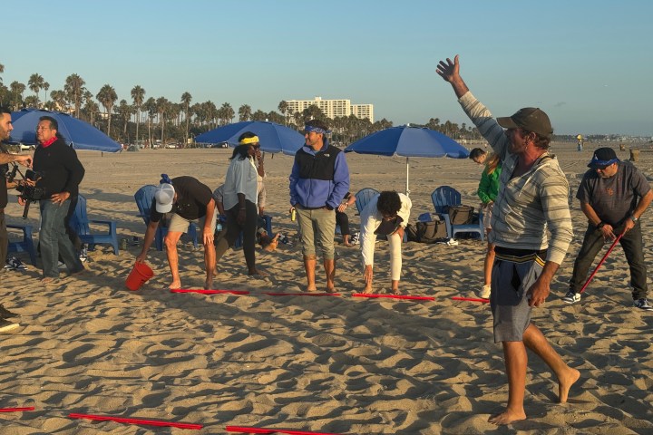 a group of people standing on top of a sandy beach