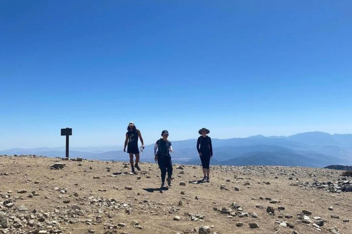 a group of people standing on top of a sandy beach