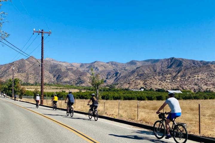 a group of people riding on the back of a bicycle