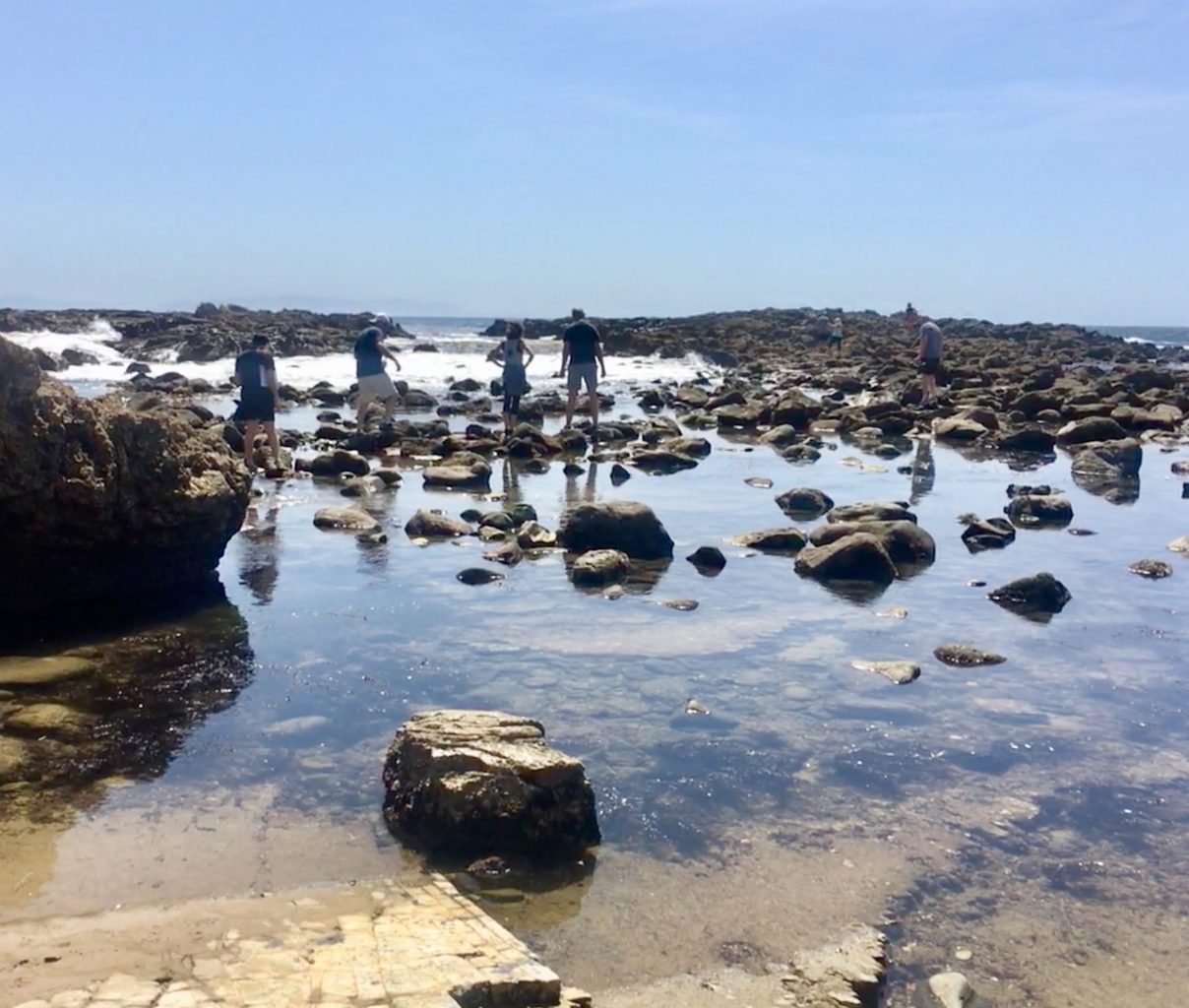 a group of people hiking through tidepools in terranea ca