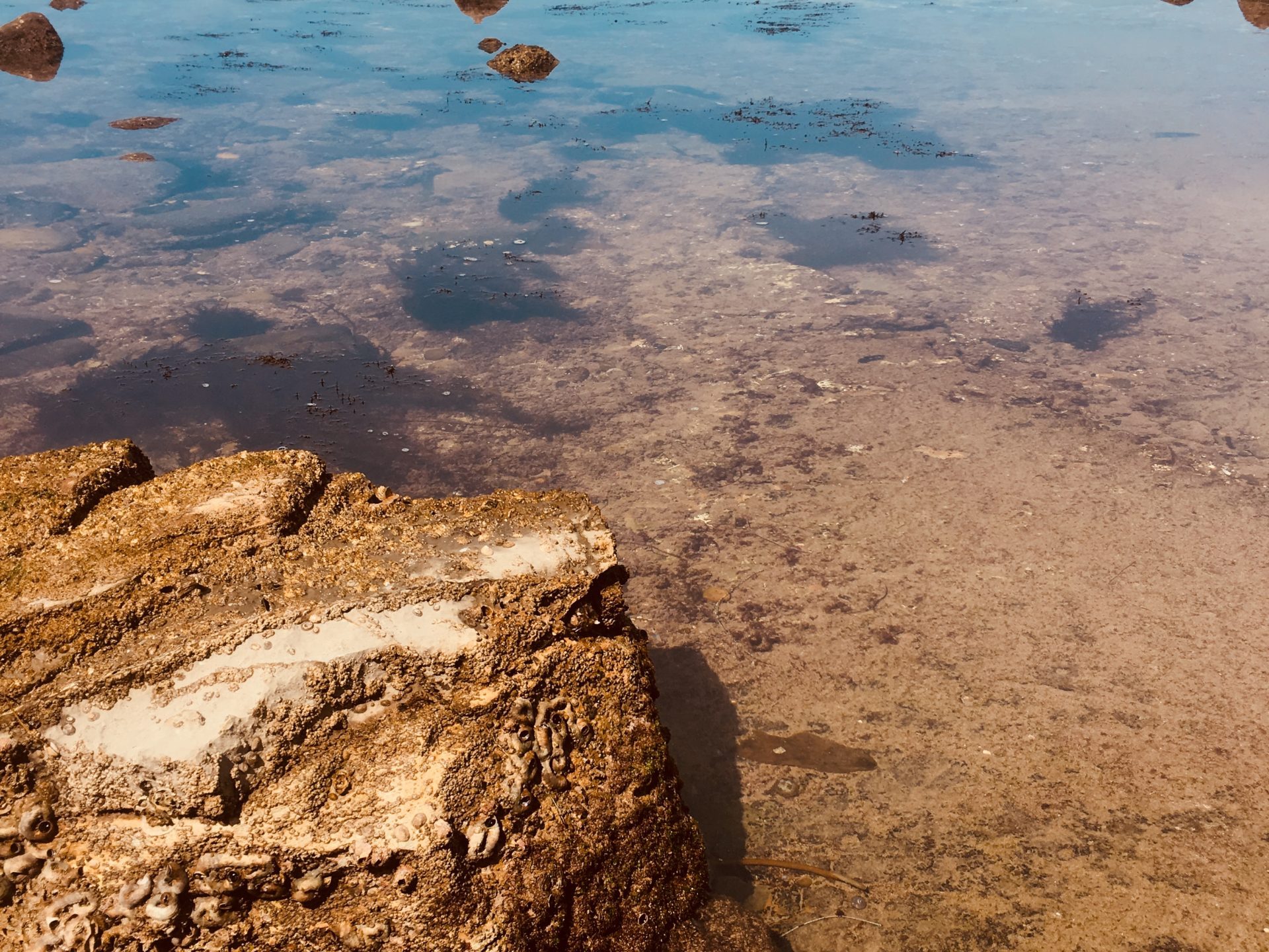 private group nature walk tour los angeles